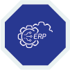 Corporate ERP
